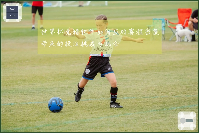 世界杯竞猜软件如何应对赛程密集带来的投注挑战与机会