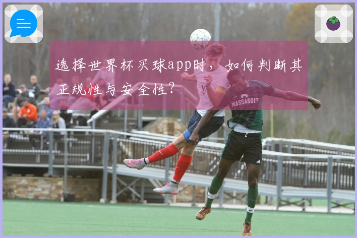 选择世界杯买球app时，如何判断其正规性与安全性？