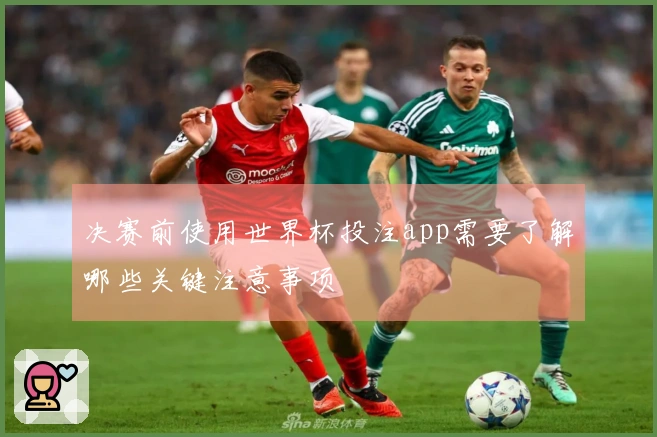 决赛前使用世界杯投注app需要了解哪些关键注意事项
