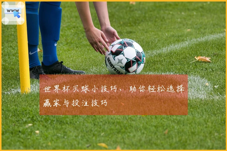 世界杯买球小技巧，助你轻松选择赢家与投注技巧