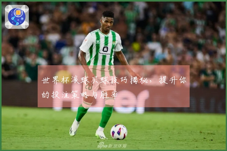 世界杯滚球买球技巧揭秘，提升你的投注策略与胜率
